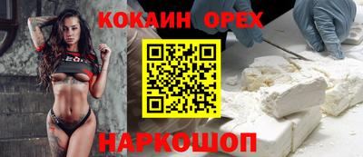 стаф Тара